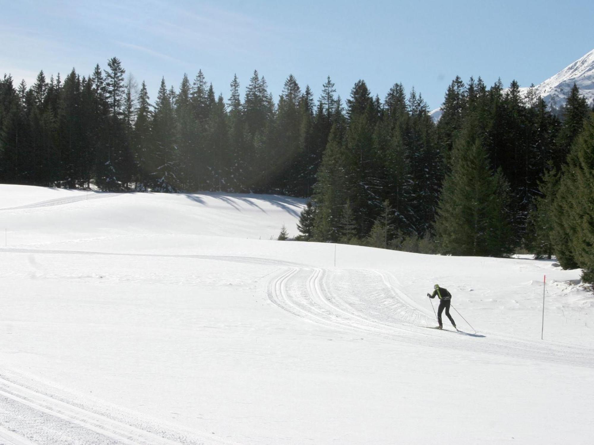 Nice Chalet In Hohentauern Styria With Sauna Villa Exteriör bild