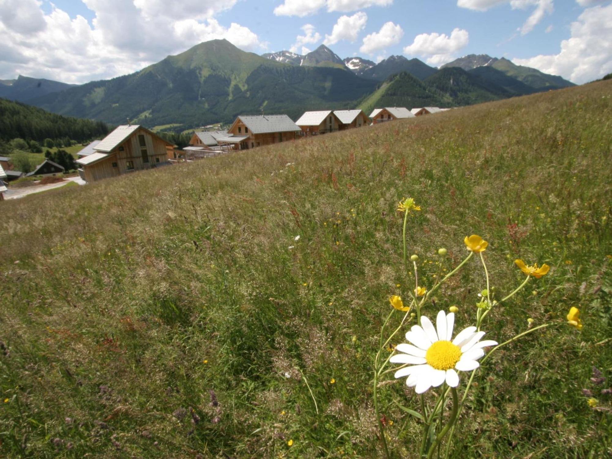 Nice Chalet In Hohentauern Styria With Sauna Villa Exteriör bild